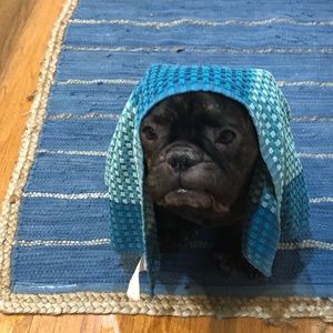 Meet your Posher, Sydney